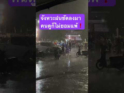 จังหวะฝนซัดลงมาคนดูก็ไม่ยอมแพ้❗️