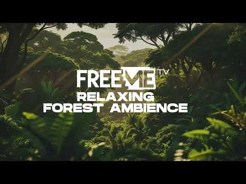 Forest Ambience || Relaxing Nature Sound