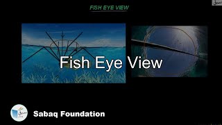 Fish Eye View