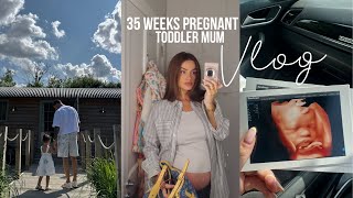 Nesting, final scan, surrendering to childcare?! - weekly vlog