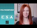 Understanding Polymorphism in Art and Programming