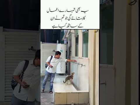 Ya bhi tumharaa amaal ka batai ki jo tum na in ka sath kiya #shortvideo #islamicvideo #viralvideo