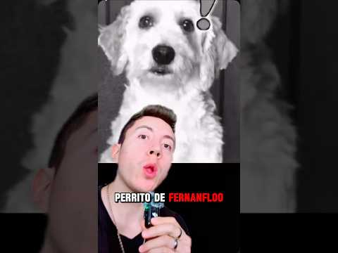 MUERE CURLY EL PERRITO DE FERNANFLOO!🕊️🥺😩😭#short #fernanfloo #sabiasque #curiosidades #casos