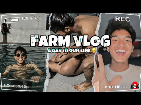 Farm house vlog 2024 | harry hoaxers vlogs 😎 | harry vlogger ❤️