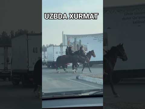 ULOQCHI AKALARDAN YOL BERGANLARGA HURMAT #youtube #shots #2024