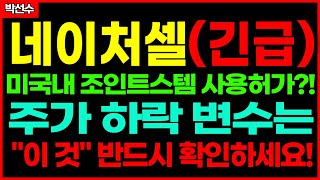 ✅ 네이처셀 - 추가 호재 등장 하지만 주가는 빠진다? 이유가 있는 조정입니다. 다음 추가  타점 반드시 확인하세요!