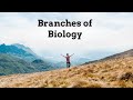 Branches of Animal Study