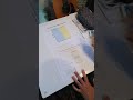 Population Dynamics and Visual Models