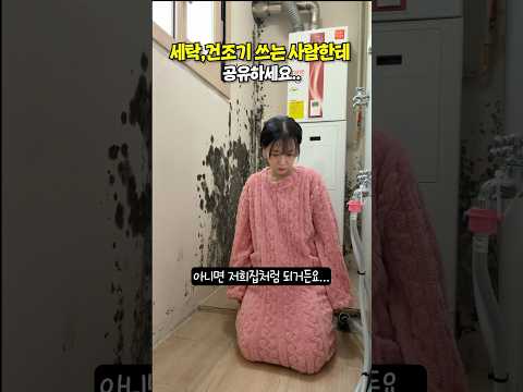 쿠팡에서 이건 꼭 사세요!! 문제 많은 집 곰팡이 제거 방지 꿀템 #내돈내산