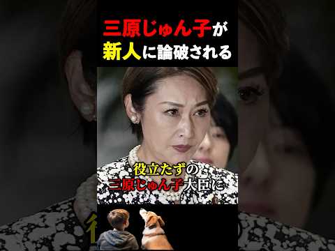 新人議員VSベテラン #海外の反応 #日本 #政治
