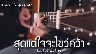 สุดแต่ใจจะไขว่คว้า - LITTLE JOHN Fingerstyle Guitar Cover (TAB)