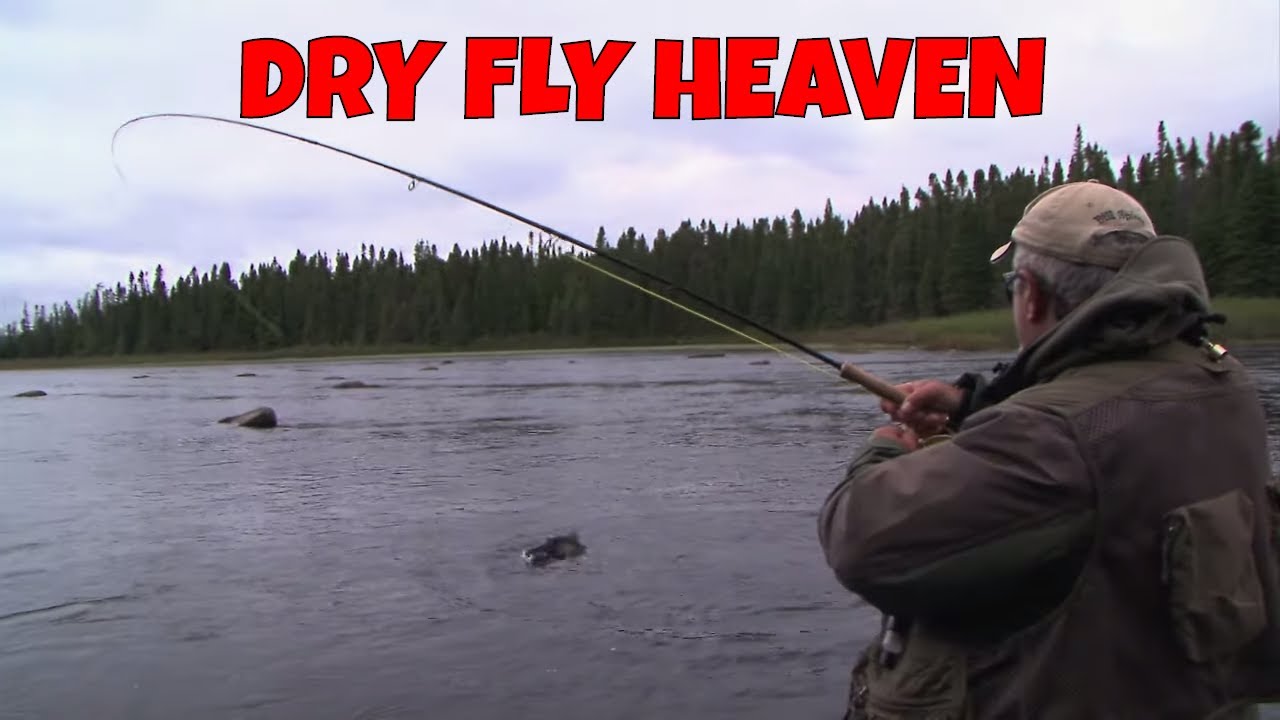 Dry Fly Heaven - Labrador Brook Trout Fantasy - The New Fly Fisher