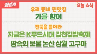 울트라 2024년 11월 11일 방송 (우리동네찐맛집 '이 계절 놓치지 마魚! 가을 향어') 다시보기