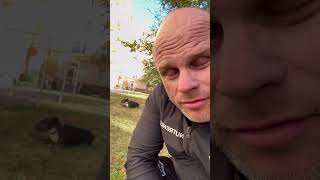 Pro více podrobných shorts dejte odběr!#trendy #viral #video #shorts #funny