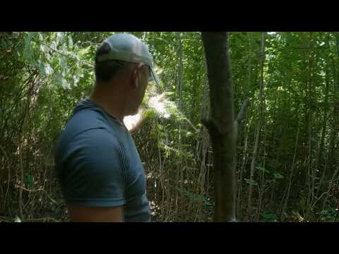 Haunted East Tennessee Paranormal Nightmare TV