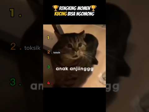 rengking momen kucing bisa ngomong #cat