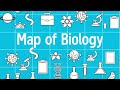 Cell Biology and Genetics Concepts