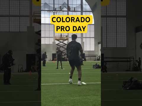 Travis Hunter Don't NEED GLOVES ๐ค #travishuntershow #travishunter #nfl