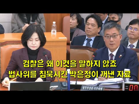 검찰은 왜 이것을 말하지 않죠. 법사위를 침묵시킨 박은정이 꺼낸 자료