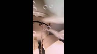 Loud ceiling fan