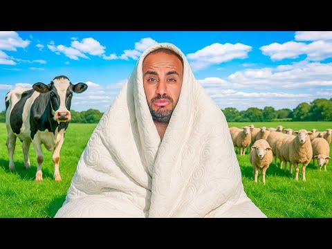 ضعنا في اخر يوم في كازاخستان - النهاية