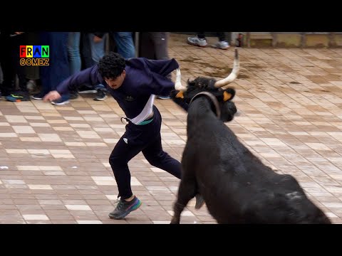 Toro cerril Aida Jovani y vaquillas Vicente Benavent - Almassora CS Toros Fran Gomez Bous Al Carrer