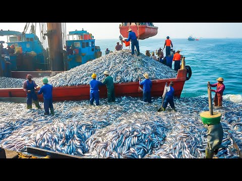 The Truth Behind America's Giant Fishing Boats - How They Catch Thousands of Tons of Fish Every Day?