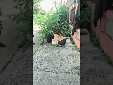 จำได้กะจำตั่ว #comedy #funny #กอล์ฟกิ๊บสายฮา #ตลก #funnyshorts