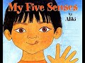 Understanding My Five Senses