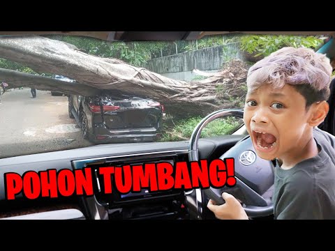 BENCANA ANGIN TOPAN!!! MOBIL BOCIL TERTIMPA POHON TUMBANG RAKSASA!!!