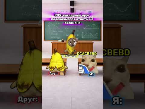 мемы которые помогают котикам 😼