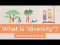 Understanding Diversity