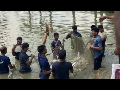 Slow motion 💚 Fish jumping 🐟 Enjoy now 😍