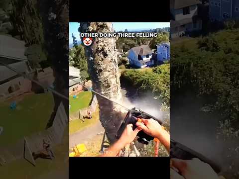 LAST TREE CUTTING WAS INSANE 💀