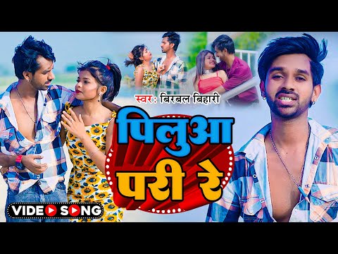 #Video | पिलुआ परी रे | #Birbal Bihari | Pilua Pari Re |   ft d zahar Naina New Bhojpuri Song 2024