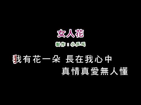 (演唱版)梅豔芳-女人花(DIY卡拉OK字幕)