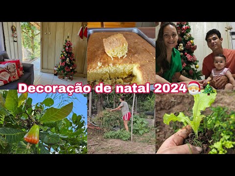 DECORAÇÃO DE NATAL DE 2024/NOSSO FINAL DE SEMANA/O PÉ DE CAJU PRODUZINDO/LIMPEZA PESADA NA HORTA/