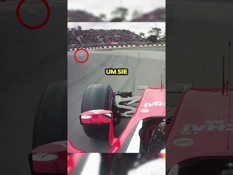 Warum Lewis Hamilton Nicht Für Tiere Bremst? #formel1