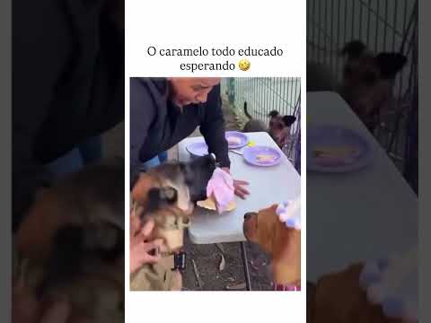 esse VIDEO É LENDARIO KKKK 😂😂😂tente NÃO RIR! #memes #humor #comedia
