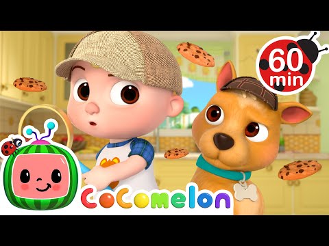 Who Took the Cookie? Animal Detective Mystery! 🐶🍪 | CoComelon Nursery Rhymes+ Kids Songs