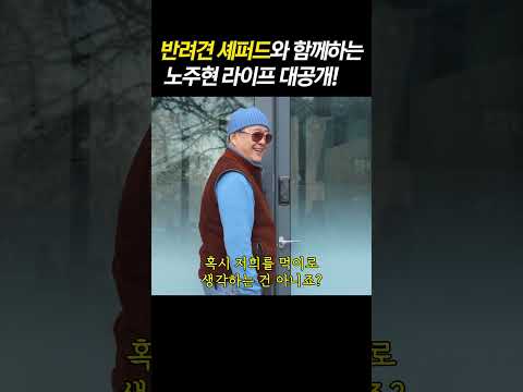 반려견 셰퍼드와 함께하는 노주현 라이프 대공개! #노주현 #셰퍼드 #반려견