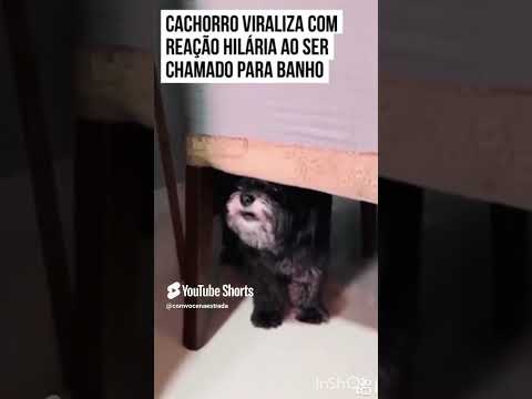 Vou me esconder , nao quero .......
