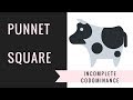 Exploring Incomplete Dominance and Codominance in Punnett Squares