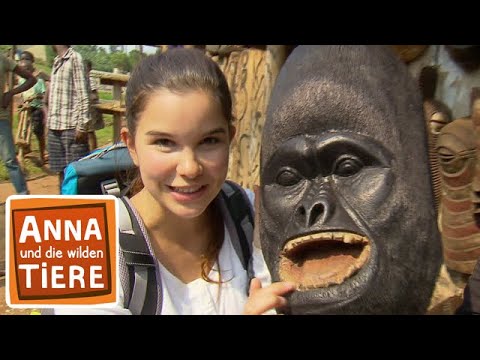 Auf den Spuren der Berggorillas | Reportage für Kinder | Anna und die wilden Tiere