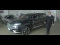 Hyundai Santa FE Top