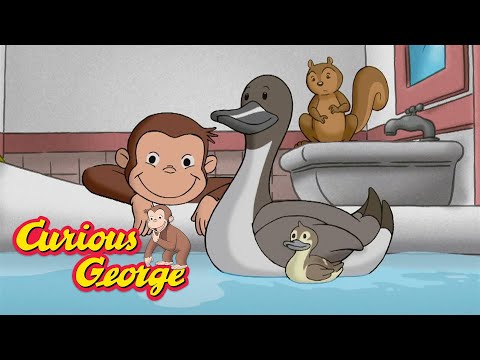 George's Duck Pond 🐵 Curious George 🐵 Kids Cartoon 🐵 Kids Movies