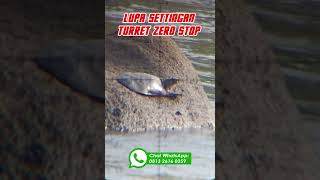 VIEW TELESCOPE LENSKY FFP ZERO STOP