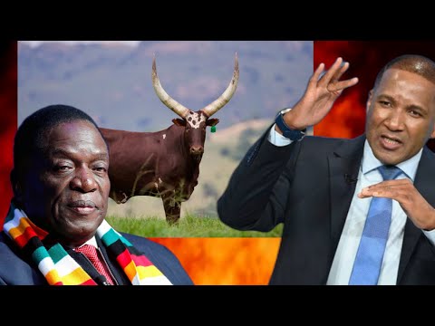 Botswana Presiden  tDuma Boko Refuses Zimbabwe Mnangagwas Cows