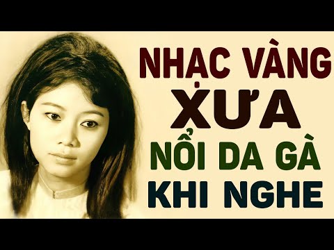 Liên Khúc 40 Bài Nhạc Vàng Xưa NỔI DA GÀ Khi Nghe Lại - Nhạc Xưa Toàn Bài Hay Để Đời