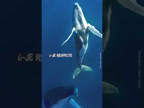 10 conseils pour un voyage responsable à La Réunion